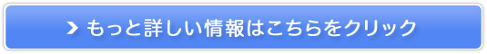 邾|12.5cmIyWFkr[eB[VFCvCi[z̔TCg